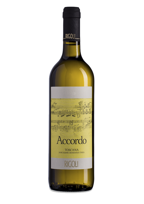 bolgheri toscana