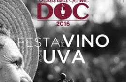 festa del vino uva 2