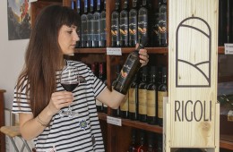 degustazioni di vino sito