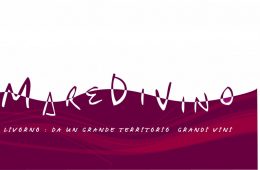 MdV-2017