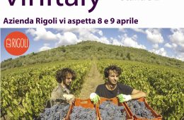 vinitaly HD