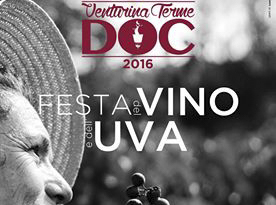 festa del vino uva 2