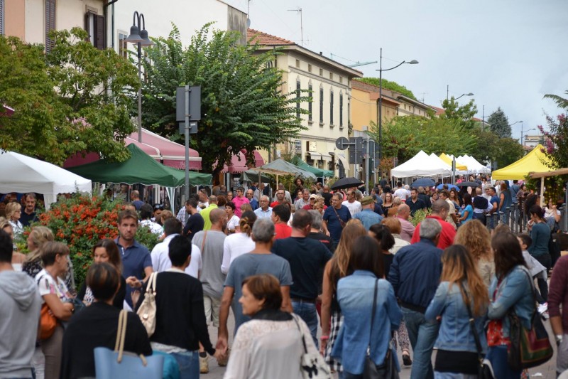 festa del vino e uva 2