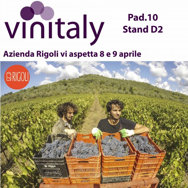 vinitaly HD