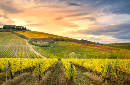 blog_toscana